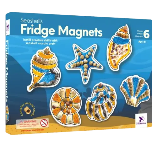 Shell Fridge Magnets